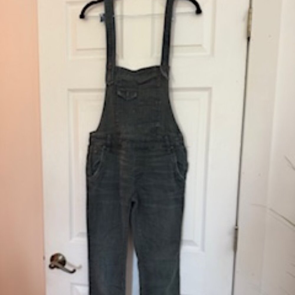 Free People Jean Overalls size 25